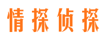 渭城侦探公司